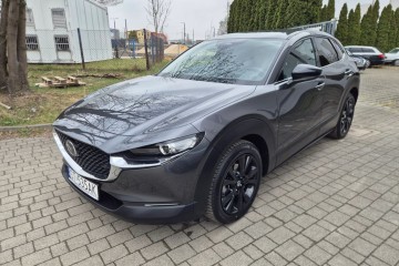 2.0 hybryda 4x4 manual NAVI Kamera Grzana fotele